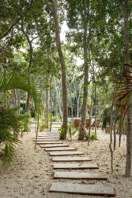 1 Bedroom-Tulum-Private Pool Apartment Tulum
